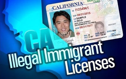 Driver Licenses for Illegal Immigrants